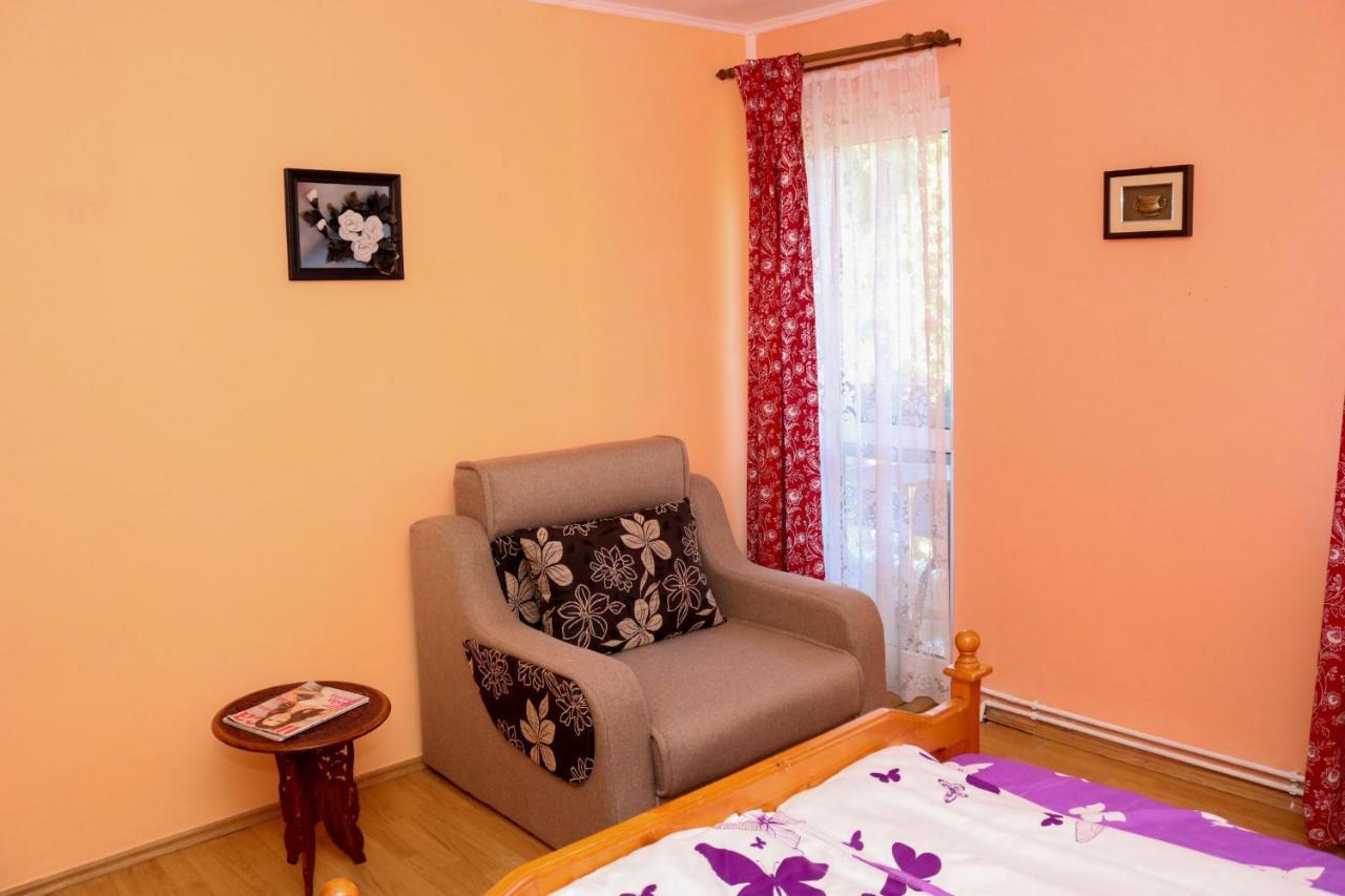 Apartament Iulia Geoagiu Băi Exteriör bild