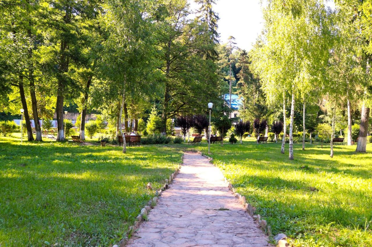 Apartament Iulia Geoagiu Băi Exteriör bild