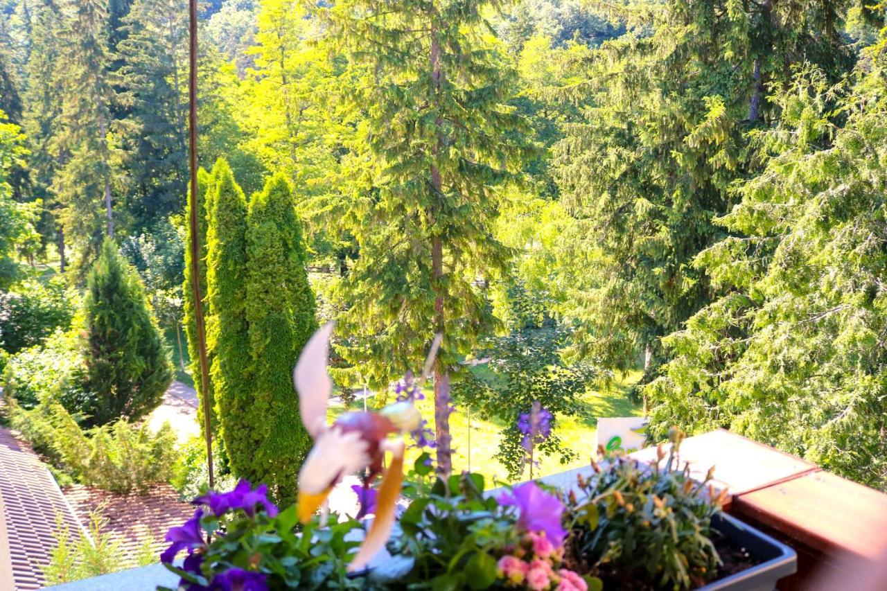 Apartament Iulia Geoagiu Băi Exteriör bild